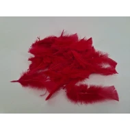 PLUMES FLATS ROUGE +/-10GR