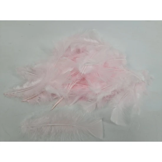 FEATHERS FLATS ROSE +/-45GR