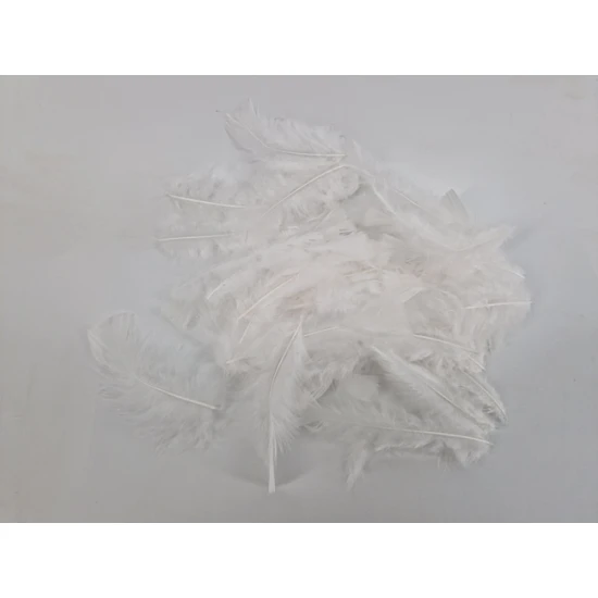 PLUMES FLATS BLANC +/-10GR