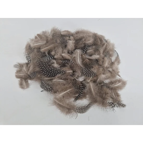 GUINEA FOWL FEATHERS NATURAL