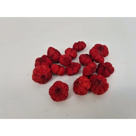 WILD APPLE MINI BORDEAUX +/-250GR