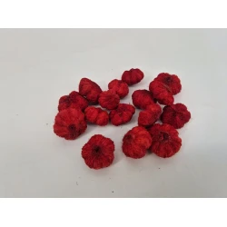 WILD APPLE MINI BORDEAUX +/-50GR