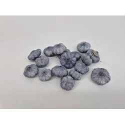 WILD APPLE MINI GRIS +/-50GR
