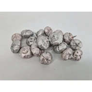 WILD APPLE MINI RUW CHAMPAGNE +/-500GR