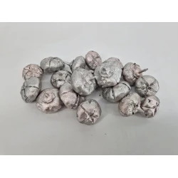 WILD APPLE MINI RUW CHAMPAGNE +/-500GR