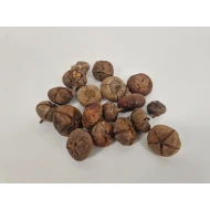 WILD APPLE MINI RUW NATUREL +/-100GR