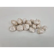 WILD APPLE MINI RUW PEARL WHITE +/-100GR