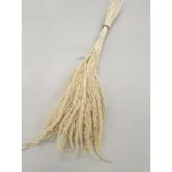 WILD GRASS GEBLEEKT +/-75GR