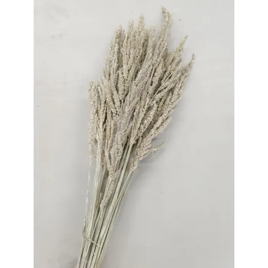 WILD GRASS WHITE WASH +/-75GR