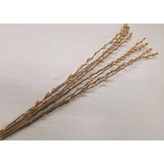 PUSSY WILLOW YELLOW 70-80CM 8PCS
