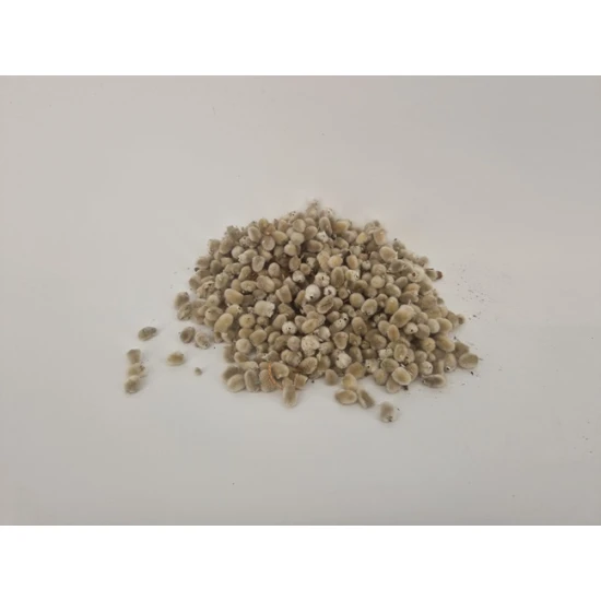 PUSSY WILLOW HEADS NATURAL +/-50GR