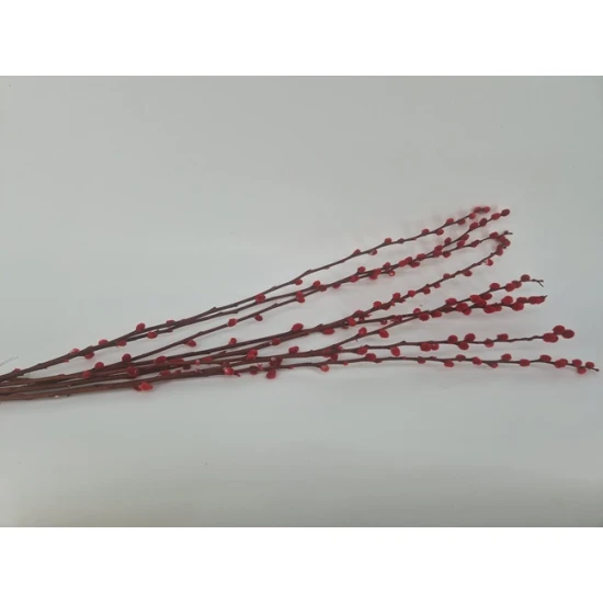 PUSSY WILLOW RED 70-80CM 8PCS