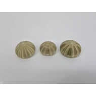 ZEEËGELS GROEN 12ST