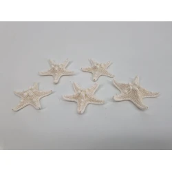 ZEESTERREN MEDIUM GEBLEEKT 25ST