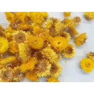 HELICHRYSUM HEADS YELLOW +/-100GR
