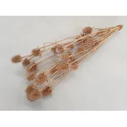 CARDOON THISTLE PEARL SALMON 10PCS