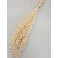 LINUM (VLAS) GEBLEEKT +/-100GR