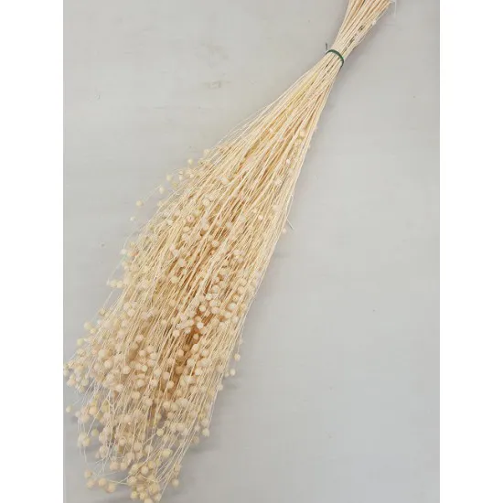 LINUM (VLAS) GEBLEEKT +/-100GR