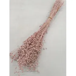 LIN PEARL PINK +/-100GR