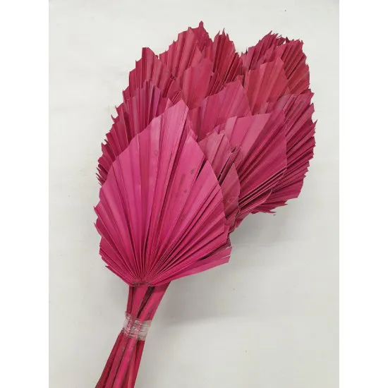 PALM SPEAR ROUGE 20PCS