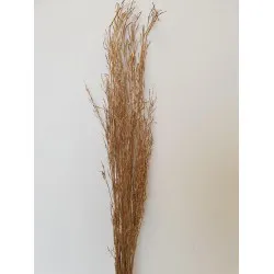 SARASH BUNCH GOLD +/-110CM +/-100GR