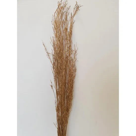 SARASH BUNCH GOUD +/-110CM +/-100GR