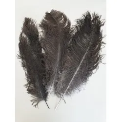 STRUISVOGELVEREN DRAB 41-50CM NATUREL 3ST