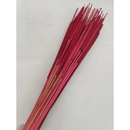 TYPHA LARGE RED +/- 50PCS
