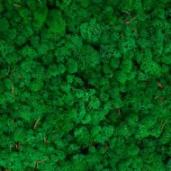 ICELANDIC MOSS GRASS GREEN 5KG
