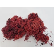 MOUSSE D'ISLANDE BORDEAUX MEDIUM +/-200GR