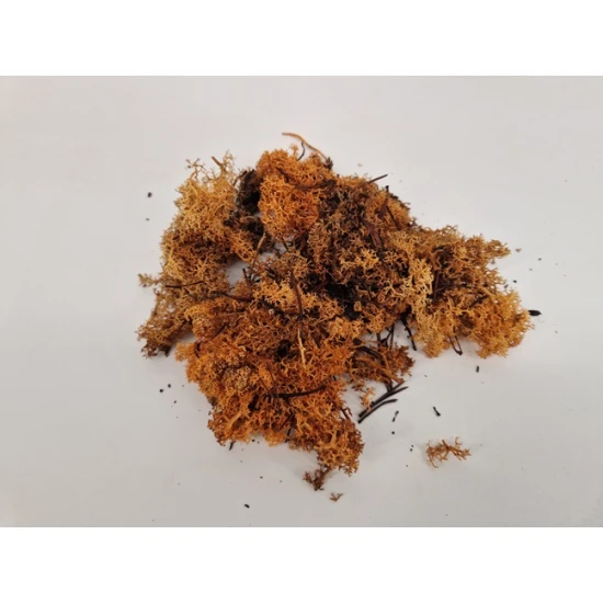 ICELANDIC MOSS COGNAC +/-50GR