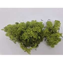 IJSLANDS MOS GECONSERVEERD APPELGROEN+/-450GR