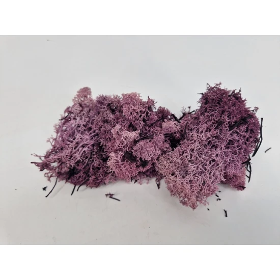 ICELANDIC MOSS PRESERVED AUBERGINE +/-450GR