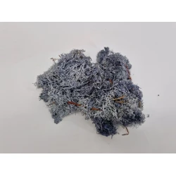 IJSLANDS MOS GRIJS +/-50GR