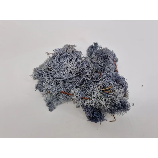 IJSLANDS MOS GRIJS +/-50GR