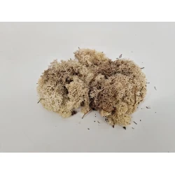 IJSLANDS MOS NATUREL +/-50GR