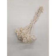 IMMORTELLE BLEACHED 1/2 BOPP/kraft Small packaging