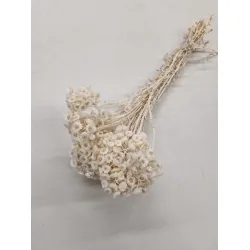 EVERLASTING BLEACHED BOPP/kraft Small packaging