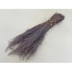 AGROSTIS NEBULOSA CLOUD GRASS LILA +/-50GR BOPP/kraft hobbyverpakking
