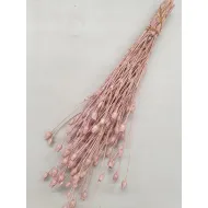 CENTAUREA PEARL PINK +/-100GR BOPP/kraft Small packaging