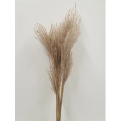 FLUFFY REED NATURAL 10PCS BOPP/kraft Small packaging