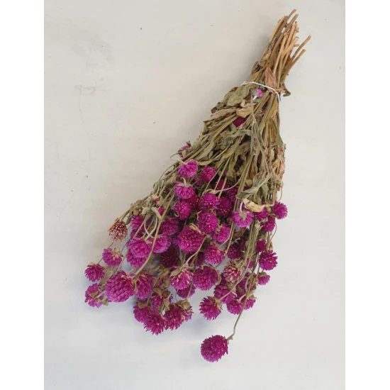 GOMPHRENA FUCHSIA NATURAL +/-90GR BOPP/kraft