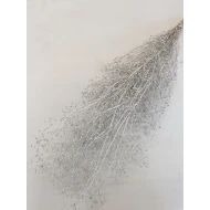 GYPSOPHILA WILD CHAMPAGNE BOPP/kraft hobbyverpakking