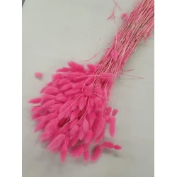 LAGURUS OVATUS FUCHSIA +/-100GR BOPP/kraft Small packaging