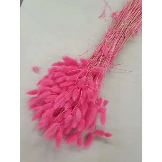 LAGURUS OVATUS FUCHSIA +/-100GR BOPP/kraft