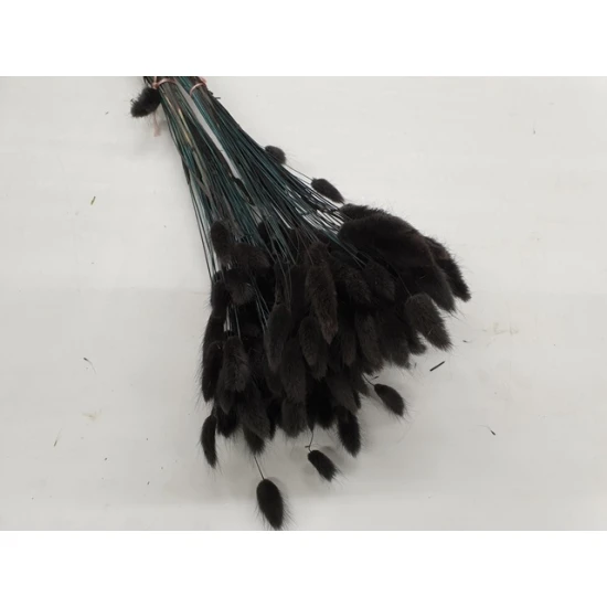 LAGURUS OVATUS NOIR +/-50GR BOPP/kraft