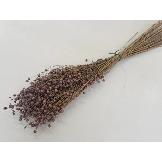 LINUM (FLAX) LILAC +/-100GR BOPP/kraft