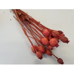 POPPY ORANGE BOPP/kraft Small packaging