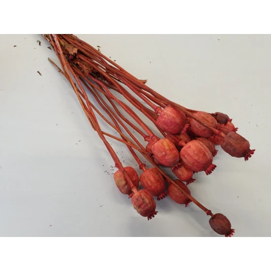 POPPY ORANGE BOPP/kraft