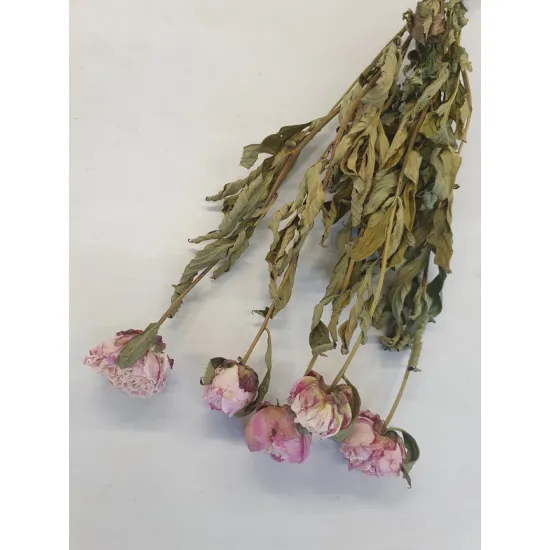 PEONIES LIGHT PINK NATURAL BOPP/kraft